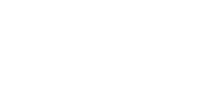 Village Fireplaces & Stoves